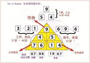 十八数字五行属什么