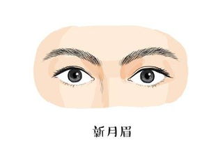 男人眉毛有几种眉形