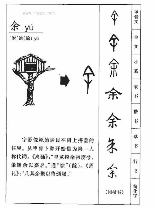 多字属于五行属什么含义什么