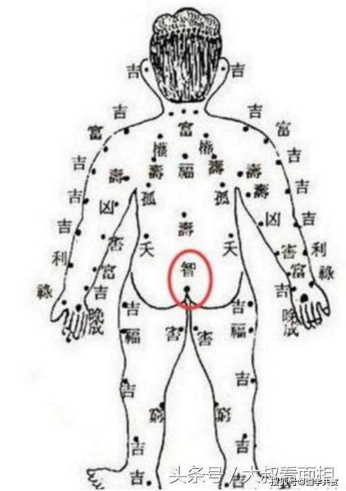 后背长痣的位置示意图