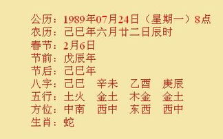 96农历6月22五行属什么