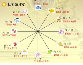 晚上10点到12点钟属什么生肖